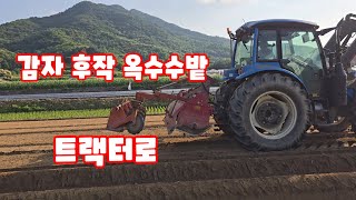 감자 후확후 후작으로 옥수수 심을밭 준비 트랙터로 두둑 만들기 일명 망싸기 트랙터 달인 박용근 풀뿌리농장 […