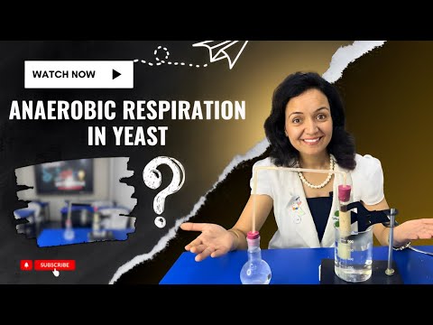 Anaerobic Respiration in Yeast I CO2 TEST I DIY I LEARN SCIENCE WITH NEHA