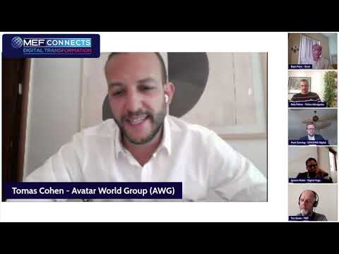 MEF Connects DT - Regulatory Frameworks: Opportunities or Threats