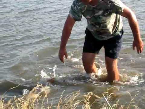 Eliberare 19kg Sarulesti 2011