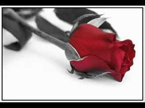 ihab tawfik garab baa