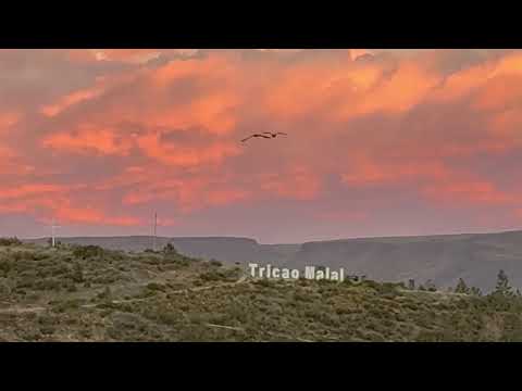 TRICAO MALAL - HIMNO DE NEUQUÉN