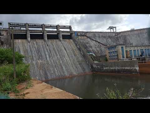 Bhadra dam water level today 12-06-23