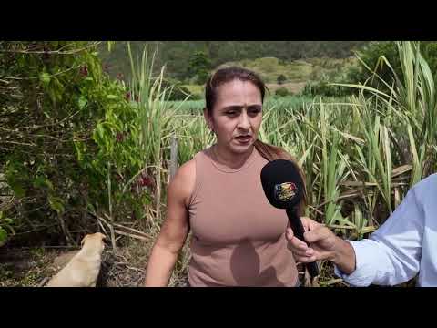 Por las Calles de mi Pueblo #110 proseso de panela en Belén de Umbría Risaralda Colombia.