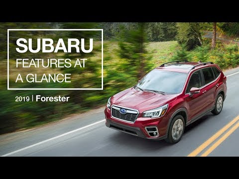 2019 Subaru Forester | Features at a Glance