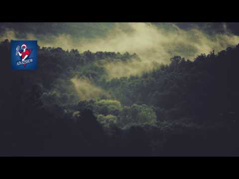 Ralph Cieli – Wild Life