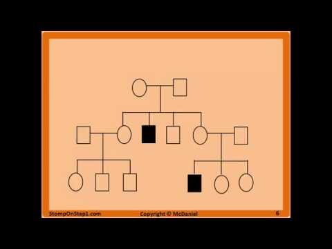 Pedigrees, Patterns of Genetic Inheritance, Autosomal Dominant Recessive X-Linked Mitocondrial