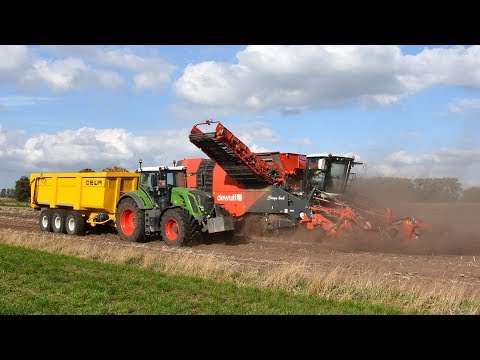 Dewulf Kwatro - Loonw. Claeys KMK - aardappelen rooien