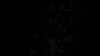 Sven Vath - An Accident in Paradise