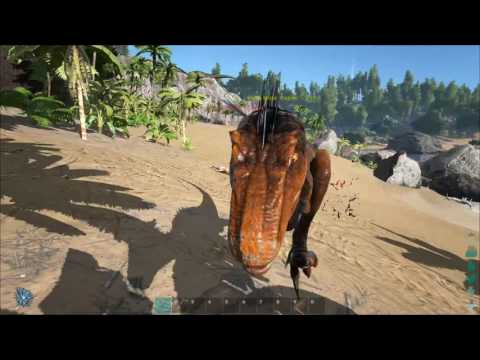ARK - Raptor Ambush