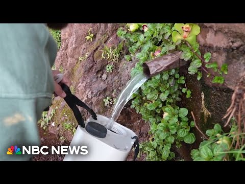 Some turn to 'raw water' as debate over fluoride in drinking water heats up