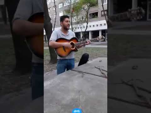 Zsalmalé hallgató 2018 HATALMAS