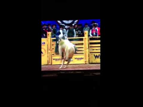 Kish's Vindicator vs Gilbert Carillo