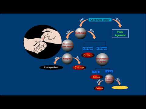 Acidente com múltiplas vítimas - Aula 01 de  02