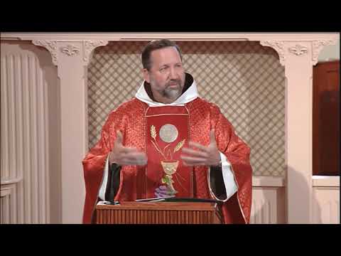 Daily Readings and Homily - 2021-02-05 - Fr. Mark
