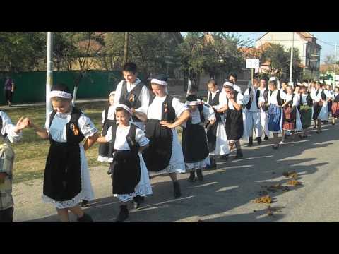 Parada portului si dansului regional Mișca