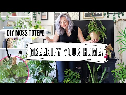 , title : 'how to care for indoor plants + greenify you home! | DIY, tips and tricks