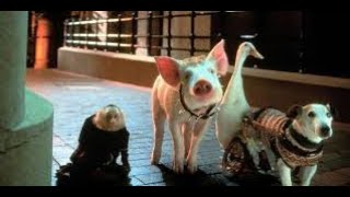 Download lagu Babe: Pig in the City Here Full Movie Facts & Review / James Cromwell / Mickey Rooney mp3 Download lagu Babe: Pig in the City Here Full Movie Facts & Review / James Cromwell / Mickey Rooney mp3