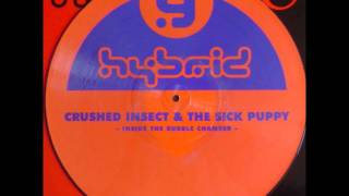 Crushed insect & The sick puppy - Inside the bubble chamber (Version 2)