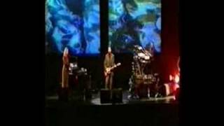 Nits - Hold Me Geneva