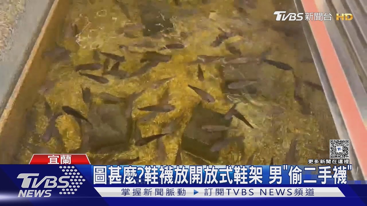 礁溪溫泉魚池泡腳襪子不見　男「專偷女襪」　監視器曝