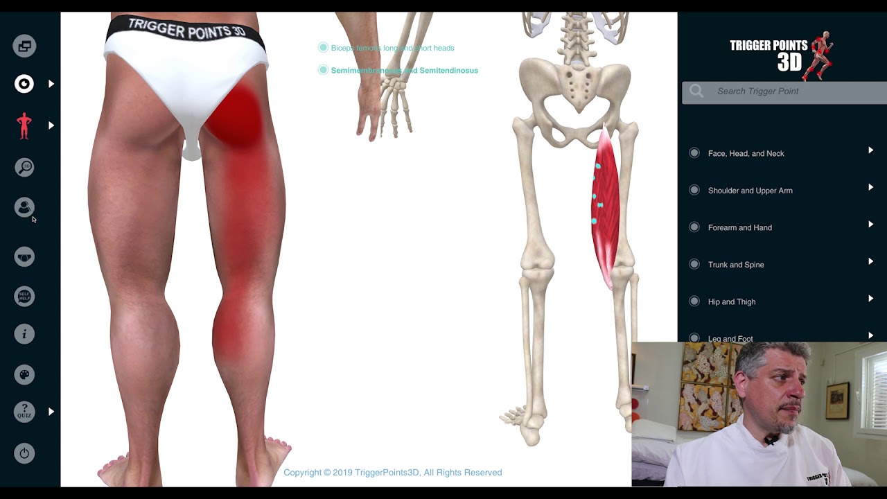 Hamstring - Trigger Point of the Week