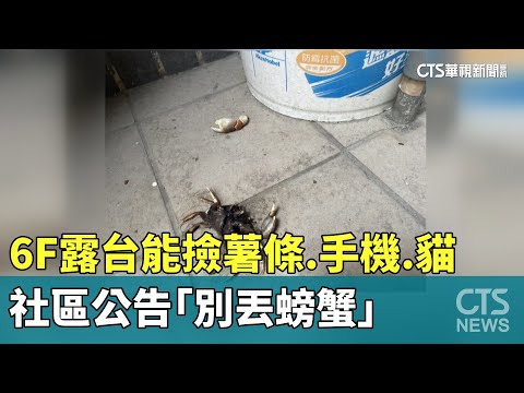 狂！6F露台能撿薯條.手機.貓　社區公告「別丟螃蟹」
