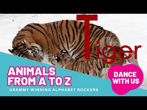 Learn letters through dance: Animals from A to Z from Alphabet Rockers