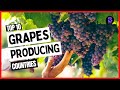 Top 10 Largest Grapes Producing Countries in the World 2021 #top10 #grape #grapewine