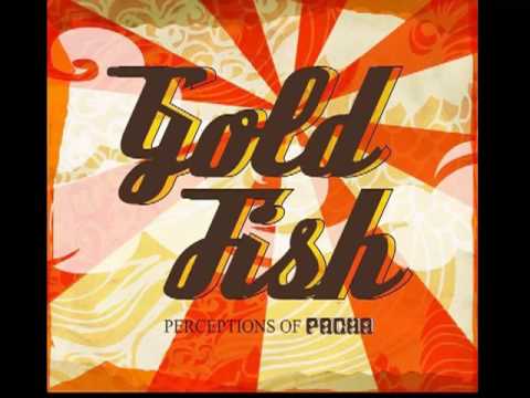 Gold Fish - Cruising Through - Tony Finger Buzzin Electro Remix - PACHA Recording