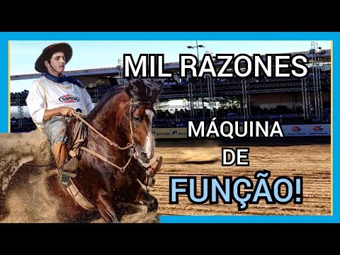 LAS CALLANAS MIL RAZONES -TE #geneticacrioula #cavalocrioulo #freiodeouro