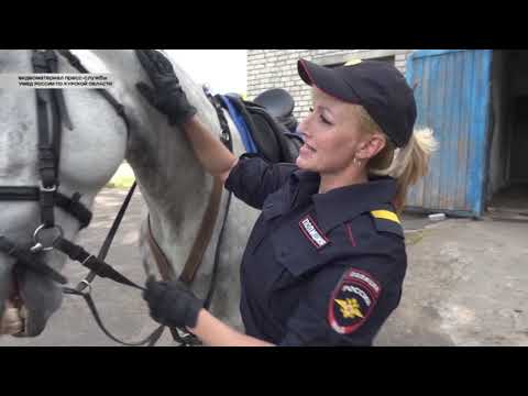 В курской полиции появился орловский рысак