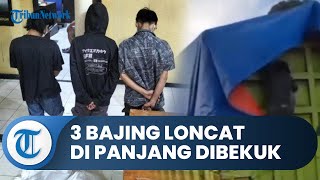 Video Aksinya Sempat Viral, 3 Bajing Loncat di Bandar Lampung Berhasil Ditangkap Polsek Pajang
