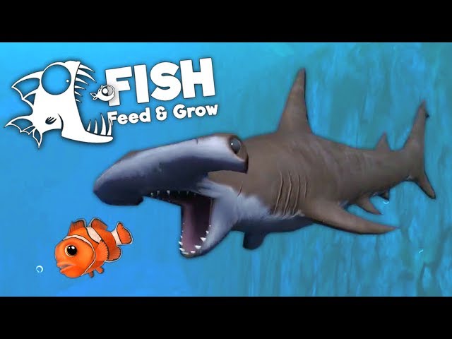 Hammerhead Shark Attacks Everything! - Feed and Grow Fish Gameplay