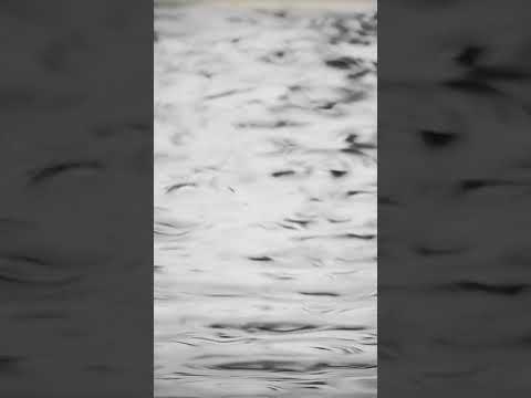 PRAYER 4 PEACE. #3 🌀