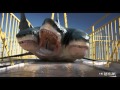 720pHD: 3 Headed Shark Attack VFX By Steve Clarke & Paul Knott 720pHD: 3 Headed Shark Attack VFX By Steve Clarke & Paul Knott