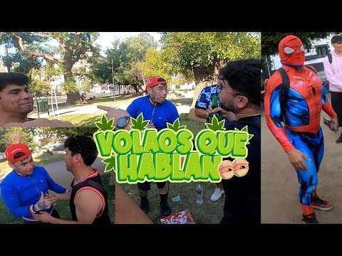 "THEY'RE FLYING, THEY'RE TALKING" JORGE MC ARRIVES TO BATTLE AGAINST EVERYONE AND IT'S CLEAR THAT...