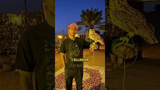 O Dean Huijsen tentou o DESAFIO de FORÇA contra um TIGRE