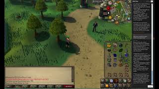 Runelite Wiki Plugin Dev