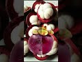 MANGOSTEEN FRUITS IS SO DELICIOUS ASMR SATISFYING Asmr Fruits Viral Shorts Bethvergara