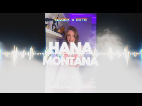 GACEK x ESTE - Hana Montana (VAYTO x DJ DAXSHADOW REMIX) 2022