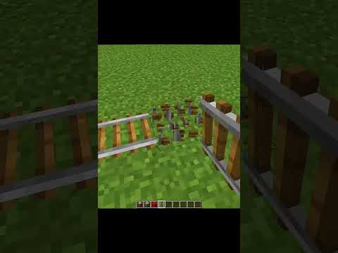 🔥Sonic Shwen's Insane MINECRAFT TikTok Hack!