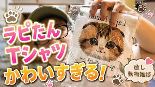ラピたんTシャツ 癒し 動物　雑談