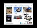 Automatic Detection And Classification Of Behaviour In Laboratory Animals