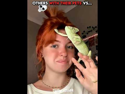 Others with their Pets vs Last Man💀 #cat #pets #animals