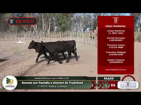 11-04-24 - Remate por Pantalla e Internet de Tradefood - Parera, La Pampa