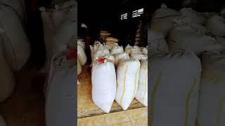 Download lagu katul super #katul #bekatul #huut #dedak #pabrik #beras mp3 Download lagu katul super #katul #bekatul #huut #dedak #pabrik #beras mp3