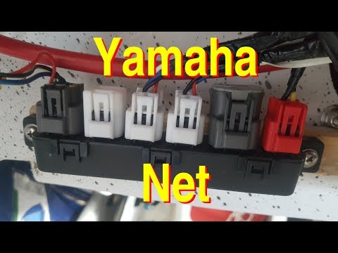 Yamaha Net - Raymarine Axiom