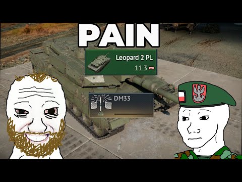 Stock Leopard 2 PL Experience
