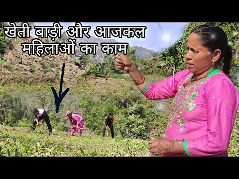 खेत खोदना | खेती बाड़ी | Pahadi hard work | Farming | Ajkal Mahilaon ka kaam | Pahadi bhai